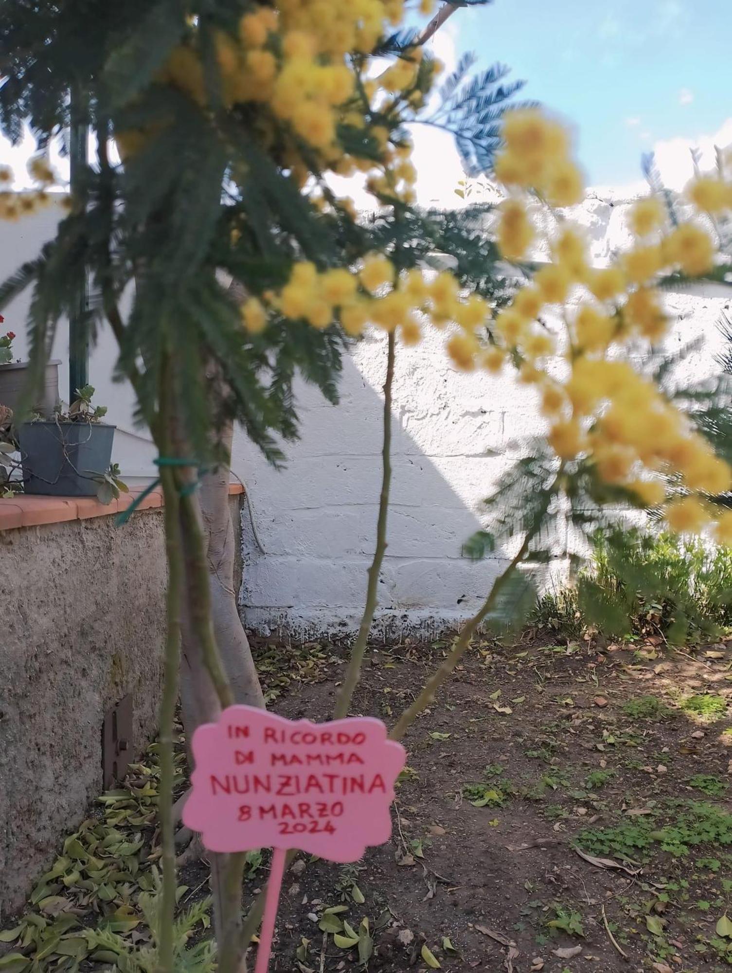 Nel Giardino Di Nunziatina Daire Siraküza Dış mekan fotoğraf